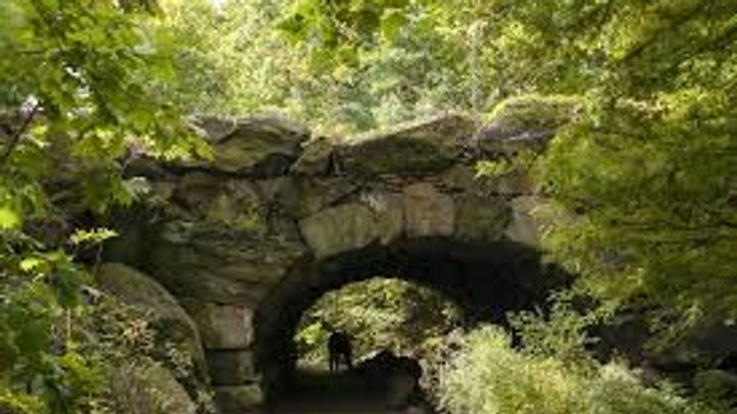 New York > Central Park Natureza